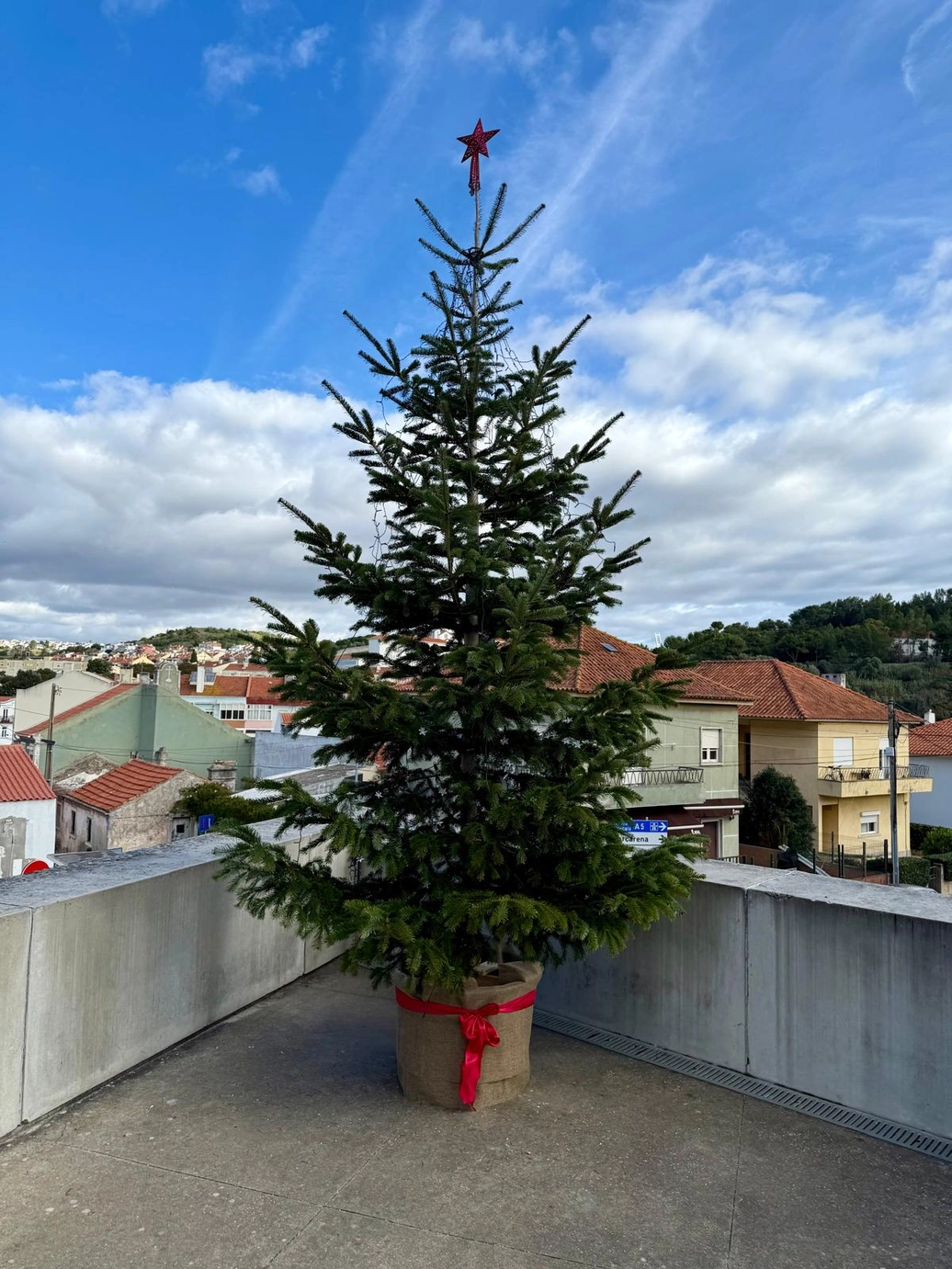 Árvore de Natal no adro da igreja